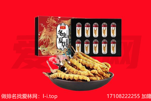 乐安县回收虫草.jpg